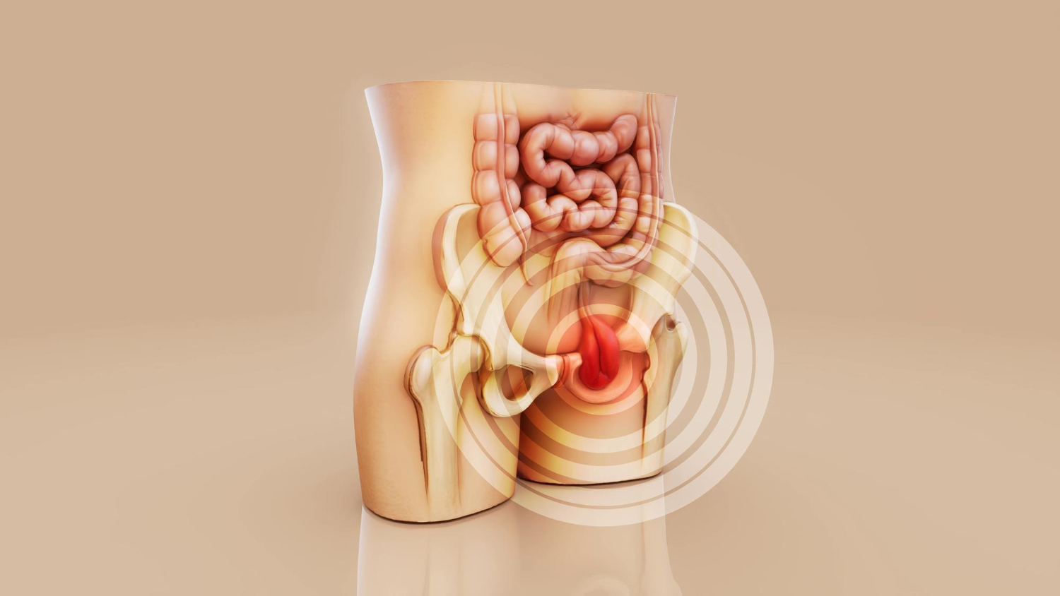 Bulto abdomen